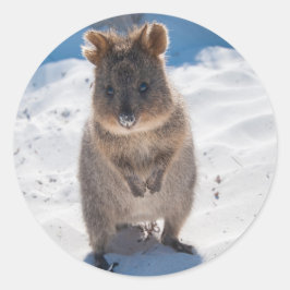 Happy Quokka am Strand Runder Aufkleber