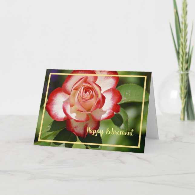 Happy Retirement wünscht Red White Rose Elegant Karte (Vorderseite)