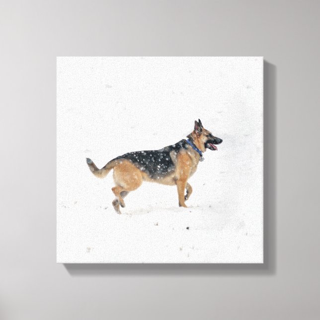 Happy rettet deutschen Schäferhund in Schnee-Leinw Leinwanddruck (Vorderseite)
