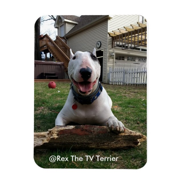 Happy Rex Magnet (Vertikal)