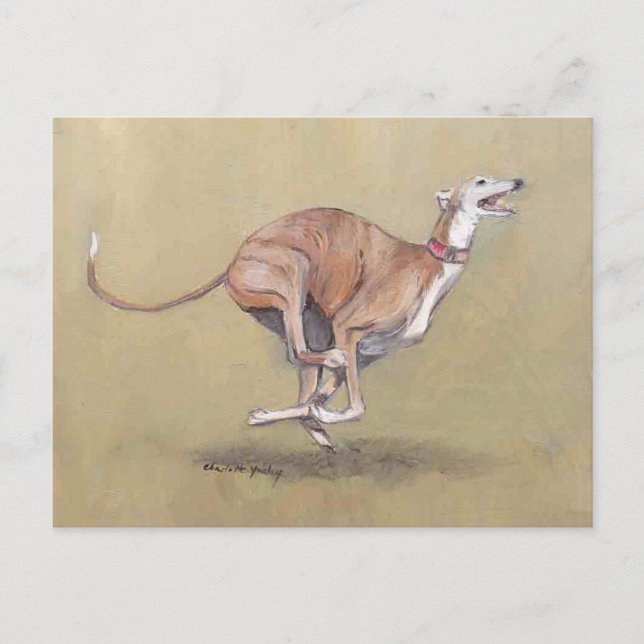 Happy Running Greyhound Dog Art Postkarte (Vorderseite)