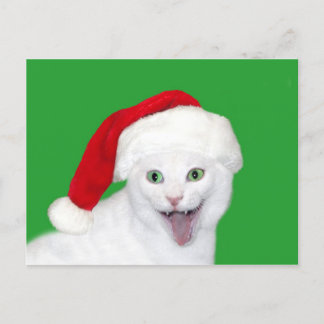 Happy Santa Cat Feiertagspostkarte