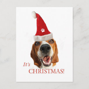 Happy Santa Dog Feiertagspostkarte