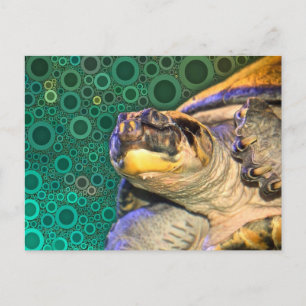 Happy Sea Turtle Postcard Postkarte