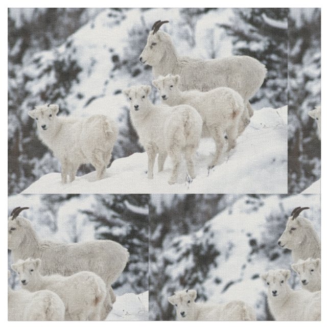 Happy Sheep Family Stoff (Nahaufnahme)
