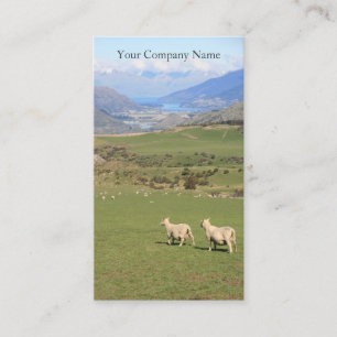 Happy Sheep in Field Photo - Carte de visite