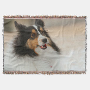 Happy Shelty Decke
