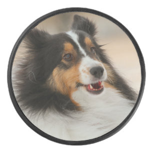 Happy Shelty Eishockey Puck