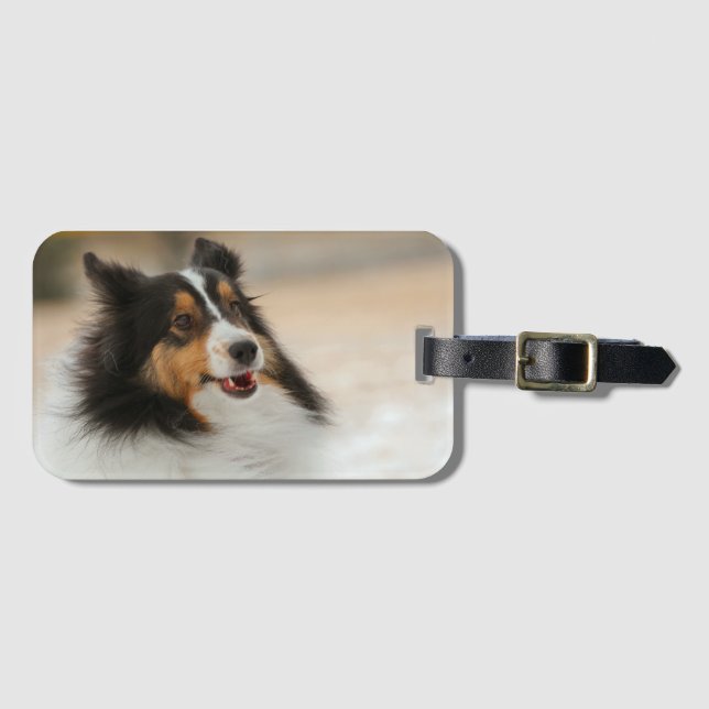 Happy Shelty Gepäckanhänger (Vorderseite (Horizontal))