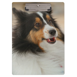 Happy Shelty Notebook Klemmbrett