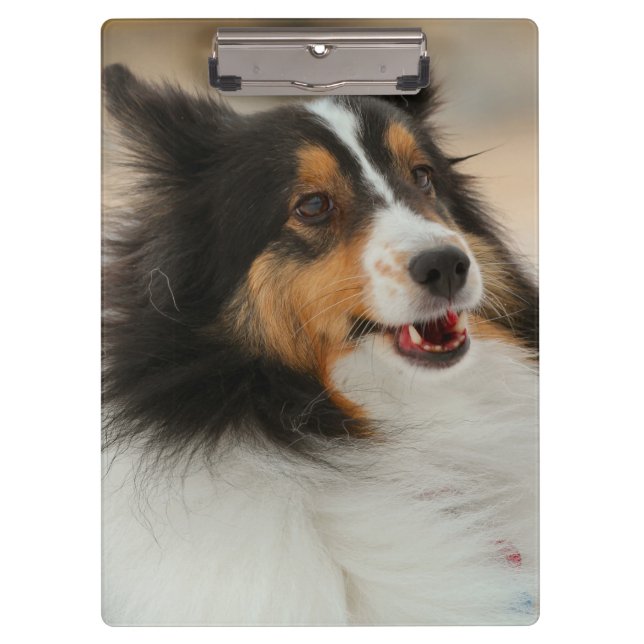 Happy Shelty Notebook Klemmbrett (Vorderseite)