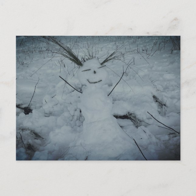Happy Snowman Foto Postcard Postkarte (Vorderseite)