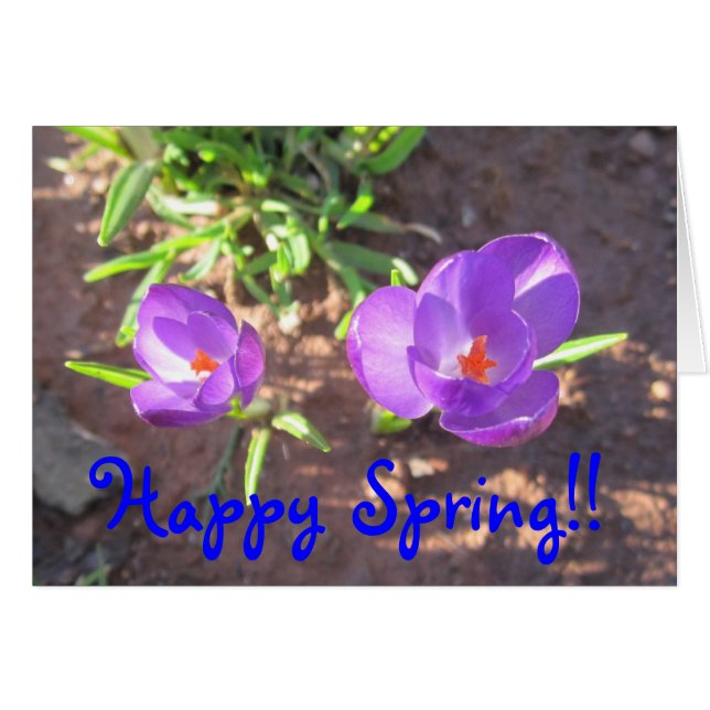 Happy Spring (Vorderseite (Horizontal))