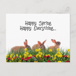 Happy Spring Blumen and Rabbits Postkarte