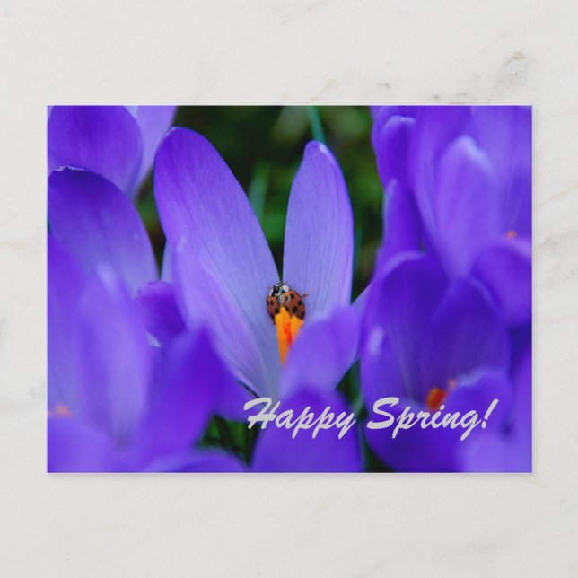 Happy Spring Card Postkarte (Vorderseite)
