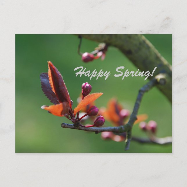 Happy Spring Card Postkarte (Vorderseite)