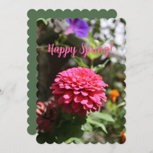 Happy Spring Flowers Fotografie