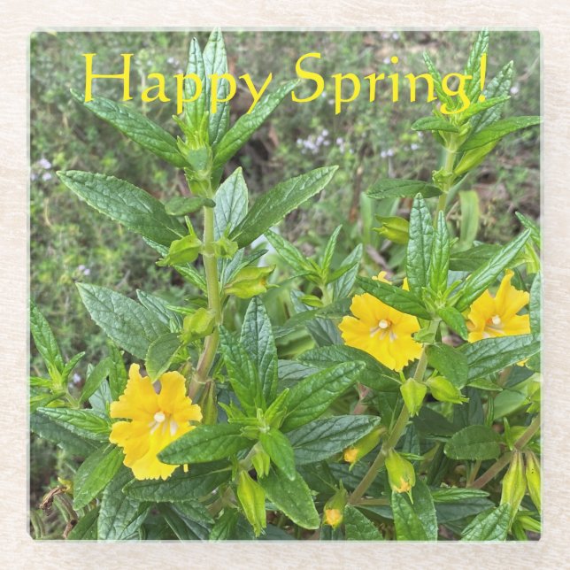 Happy Spring Monkeyblumen! Glasuntersetzer (Vorderseite)