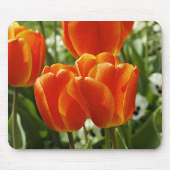 Happy Spring Mousepad (Vorne)