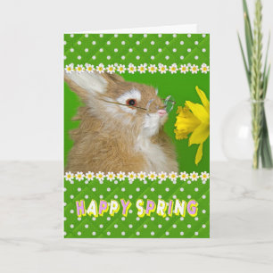Happy Spring Oaster Bunny Feiertagskarte