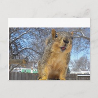 Happy Squirell Postkarte