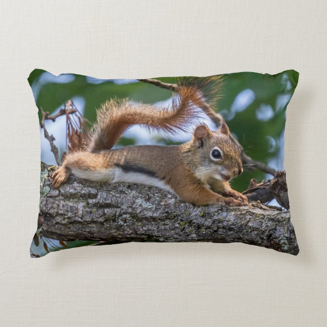 Happy Squirrel Dekokissen (Vorderseite)