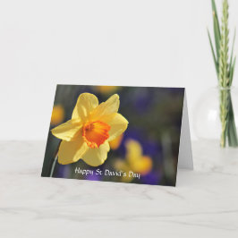 Happy St David’s Day Spring Daffodil Karte