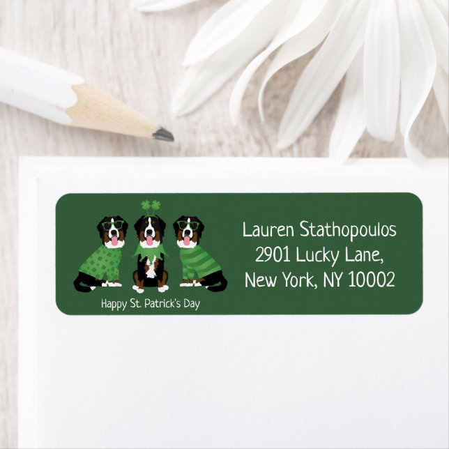 Happy St Patricks Day Bernese Mountain Hunde (Insitu)