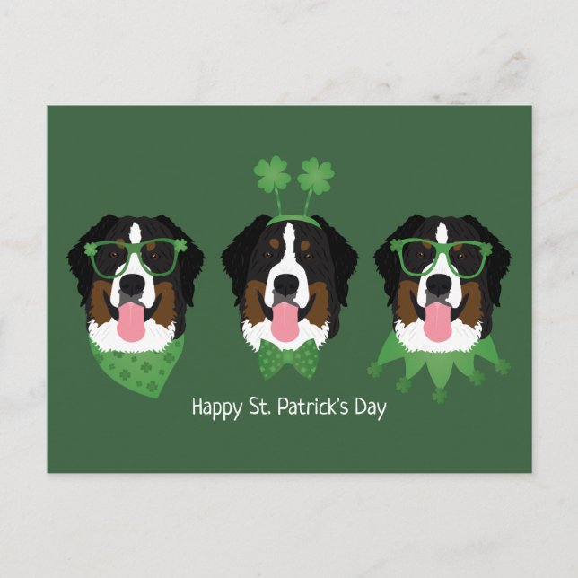 Happy St Patricks Day Bernese Mountain Hunde Postkarte (Vorderseite)