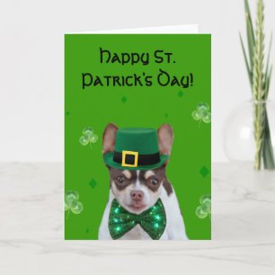 Happy St. Patrick's Day  Chihuahua greeting card Karte