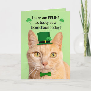 Happy St Patricks Day Friend Niedlich Cat Leprecha Feiertagskarte
