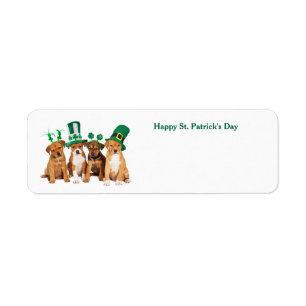 Happy St. Patrick's Day Hunde Postkarte
