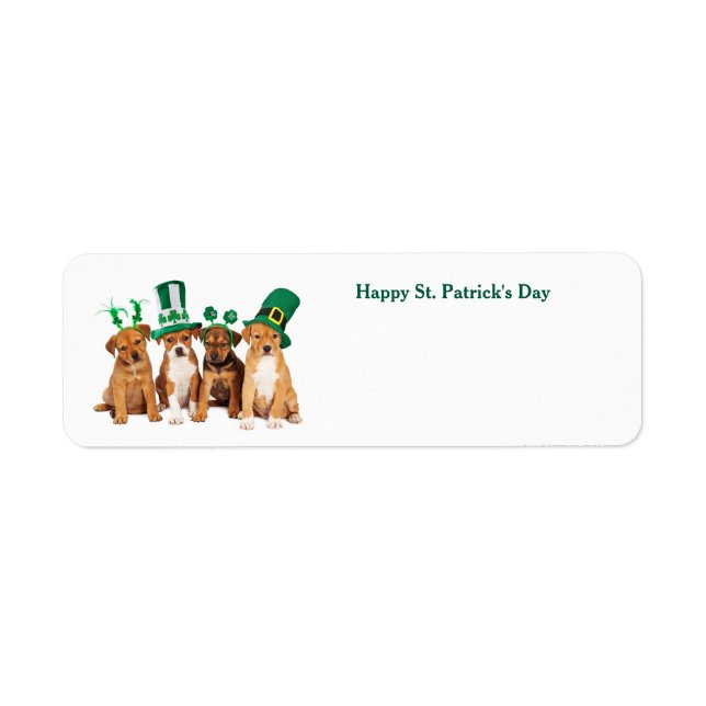 Happy St. Patrick's Day Hunde Postkarte (Vorne)