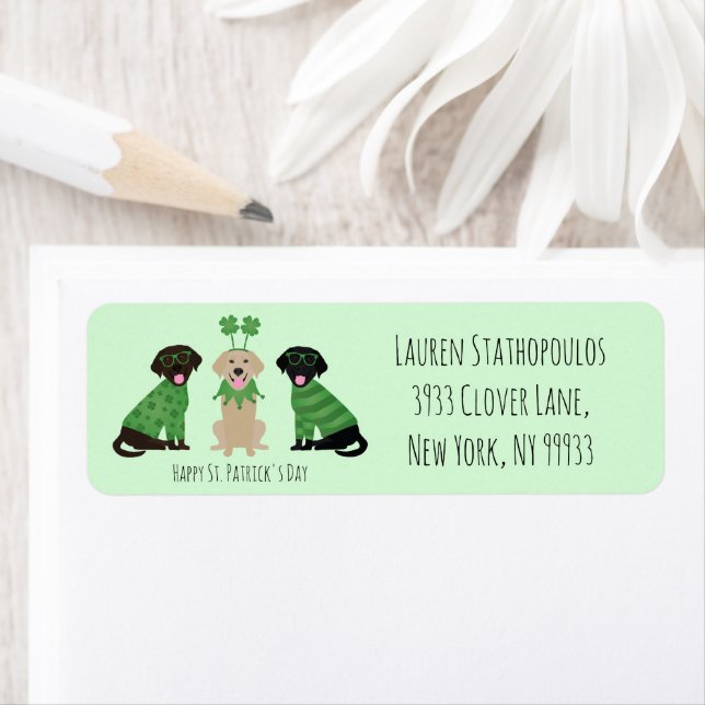 Happy St Patricks Day Labrador Retriever Hunde (Insitu)