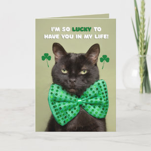 Happy St. Patrick's Day Lucky Black Cat Spaß Feiertagskarte