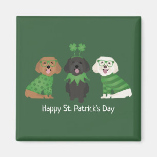 Happy St Patricks Day Maltipoo Dogs Magnet