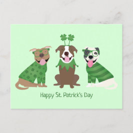 Happy St Patricks Day Pit Bull Hogs Postkarte
