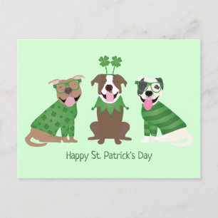 Happy St Patricks Day Pit Bull Hogs Postkarte