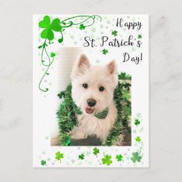Happy St. Patrick's Day, Westie Dog ist fertig Postkarte