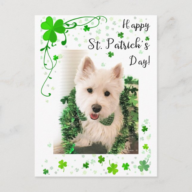 Happy St. Patrick's Day, Westie Dog ist fertig Postkarte (Vorderseite)