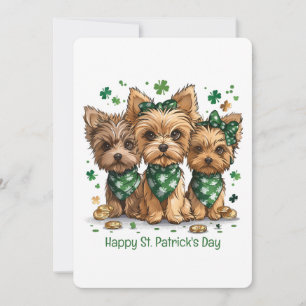 Happy St. Patrick's Day Yorkshire Terrier Dogs Feiertagskarte