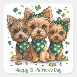Happy St. Patrick's Day Yorkshire Terrier Dogs Quadratischer Aufkleber