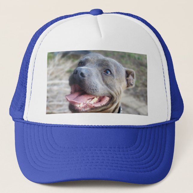 Happy Staffordshire Bull Terrier, Hat Truckerkappe (Vorderseite)