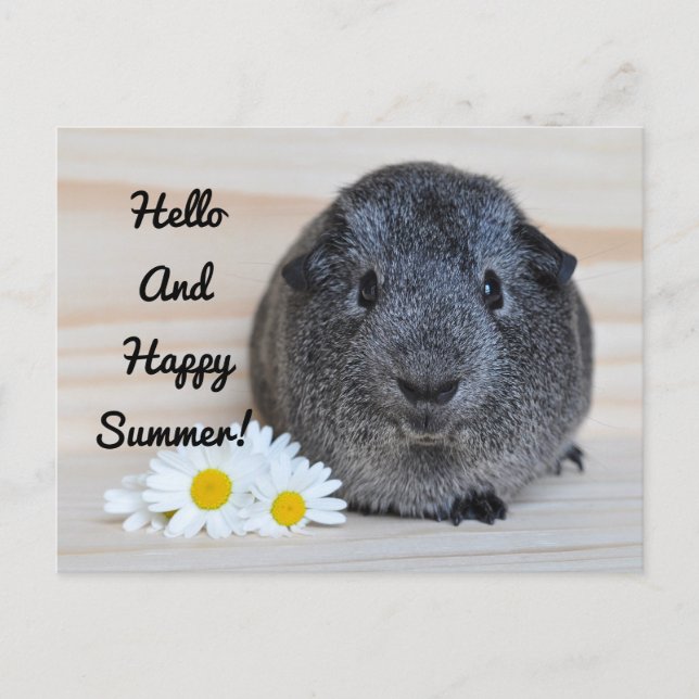 Happy Summer Guinea Pig Postkarte (Vorderseite)