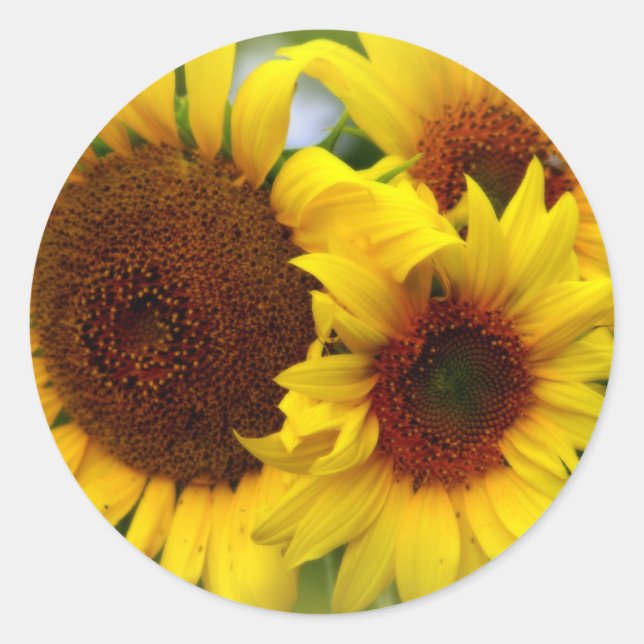 Happy Sunblumen Runder Aufkleber (Vorderseite)
