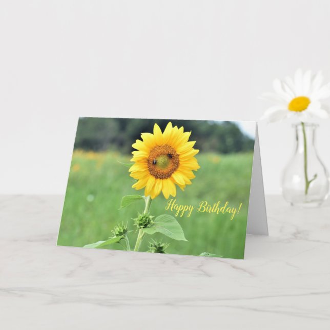 Happy Sunflower Geburtstagskarte Karte (Kleine Pflanze)
