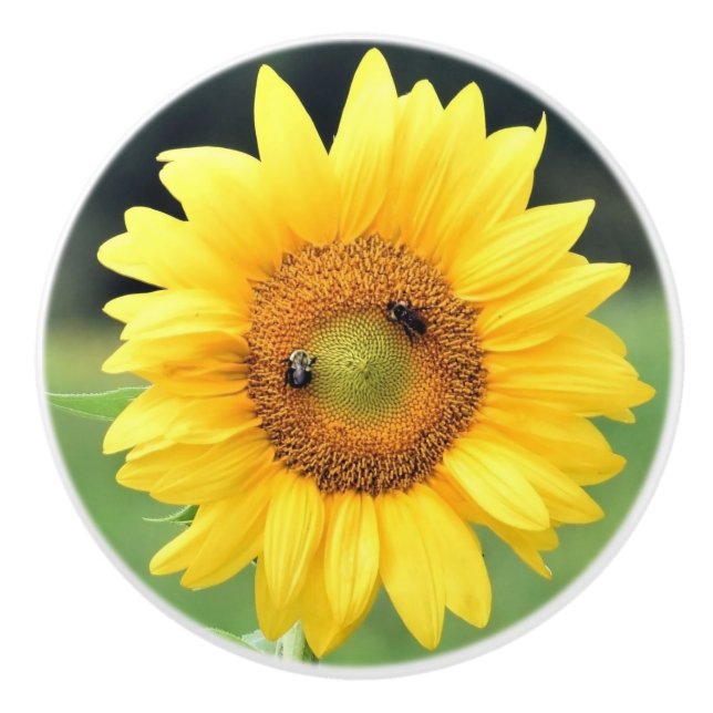 Happy Sunflower Keramik Knob Keramikknauf (Vorderseite)