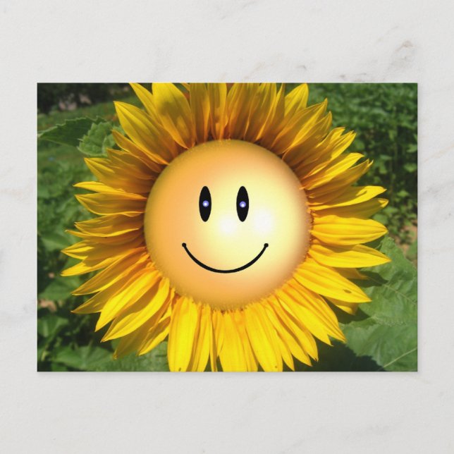 Happy Sunshine Blume Postkarte (Vorderseite)