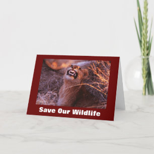 Happy Tau Économisez Notre Carte De Voeux Faune
