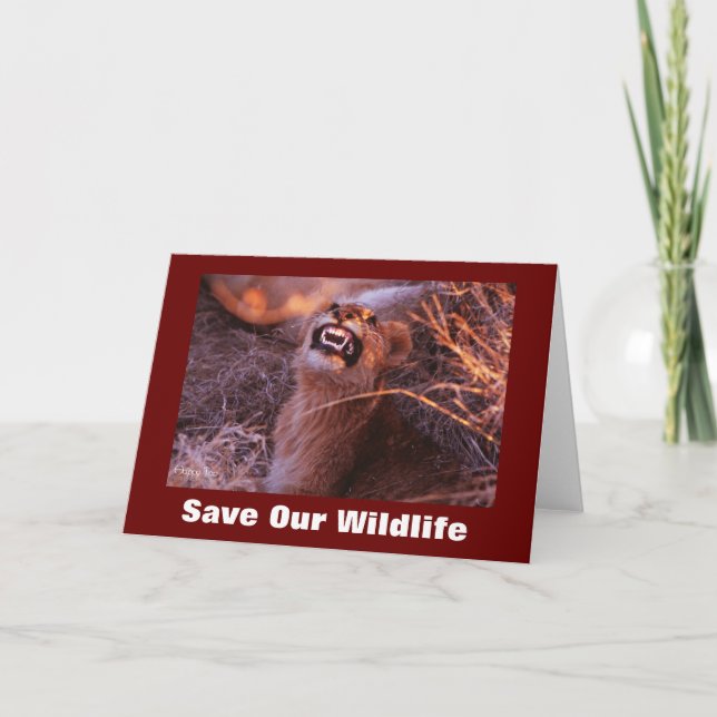 Happy Tau Économisez Notre Carte De Voeux Faune (Devant)